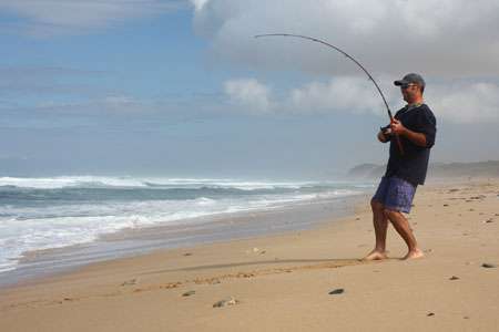 OBX Pier & Surf Seasonal Fishing Chart