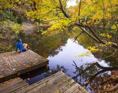 Nags Head Woods Ecological Park